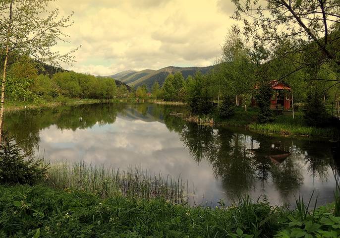 В Карпатах