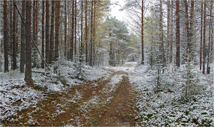 Предзимье