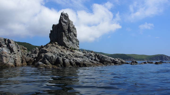 Японское море, ты ныне далече, Но снится и снится прибой и тайга! Японское море, надеюсь на встречу, Надеюсь увидеть твои берега!/Мельник Георгий