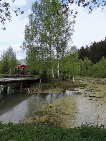 В Карпатах