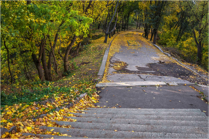 Осенняя пора