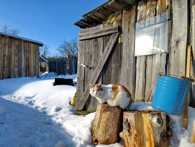 ОДНАЖДЫ СОЛНЕЧНЫМ ДНЕМ