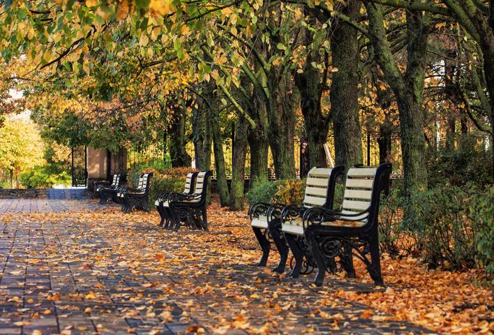  В парке Осеннем 