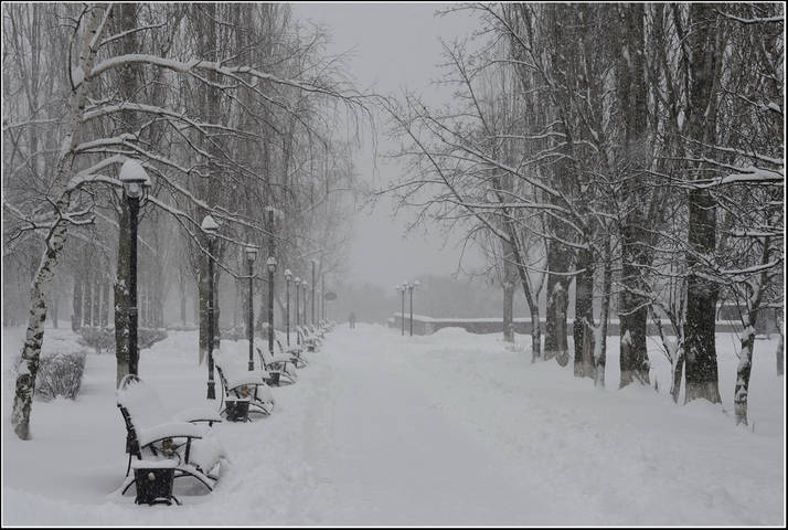 Зима в городе