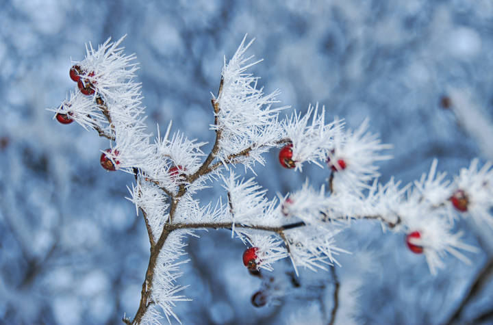 Про зиму