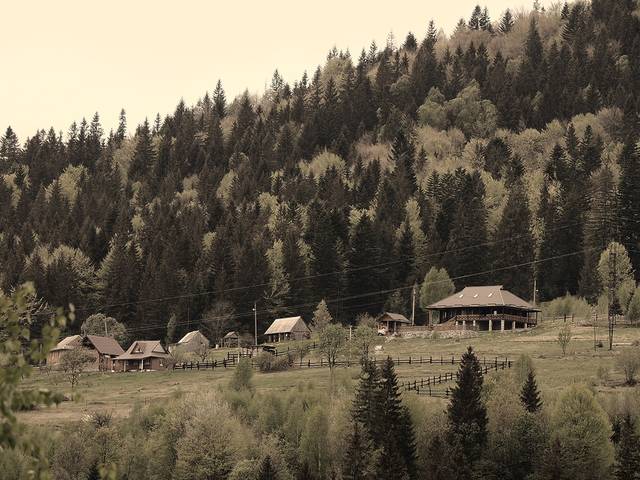 В Карпатах