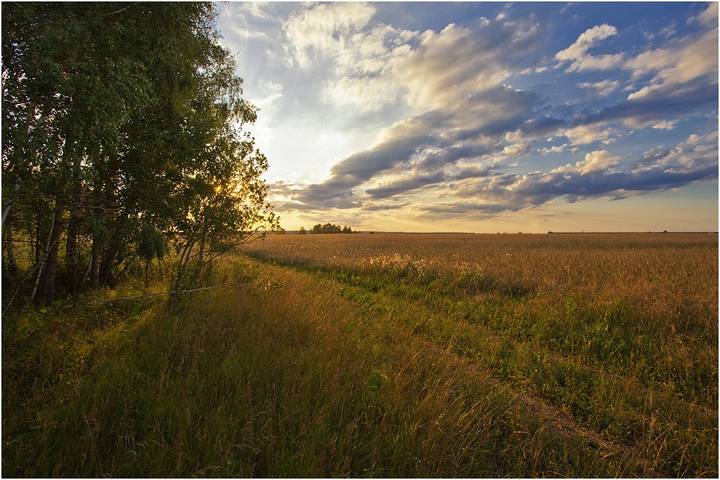 В поле