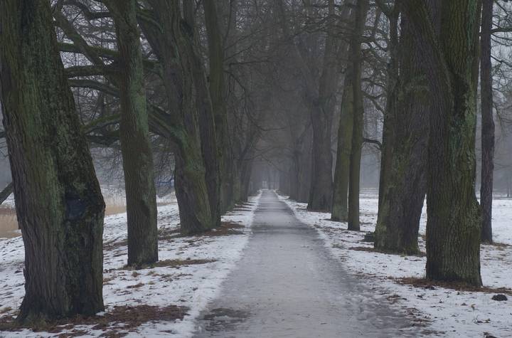 В парке...