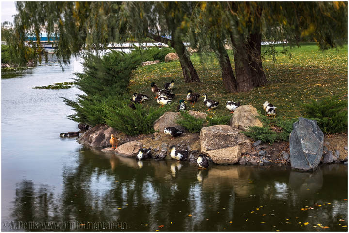 Осень