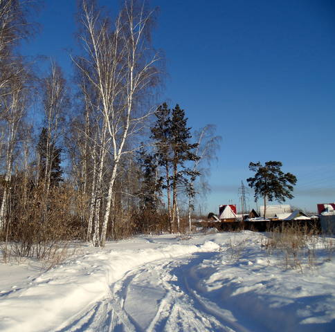 За околицей .