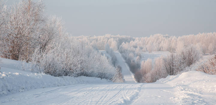 Белое безмолвие