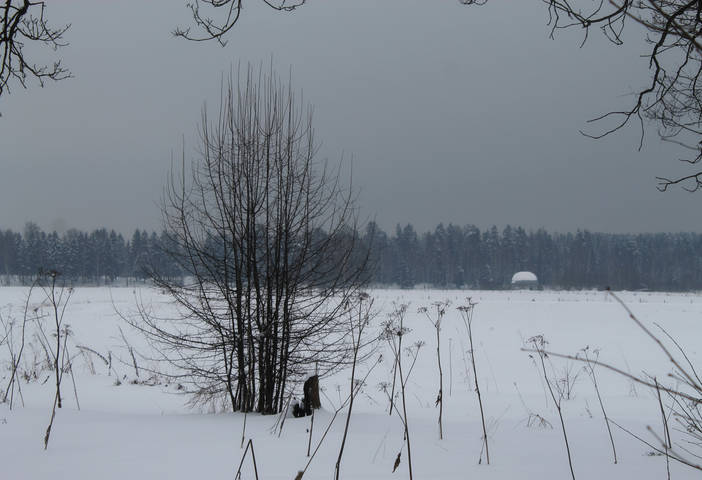 В поле