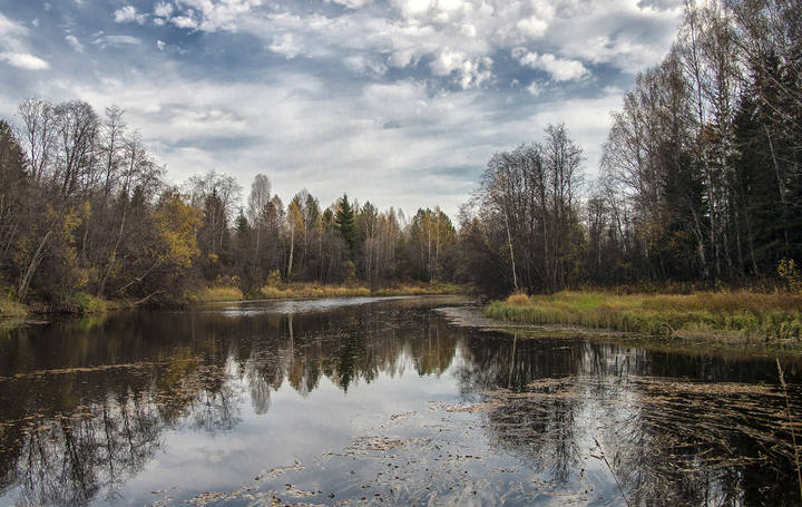 Осень