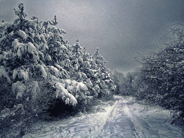 Winter Road