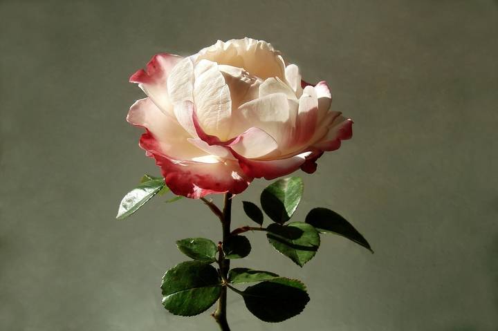 5a7b0eb5e2cfda1eba0e89a7