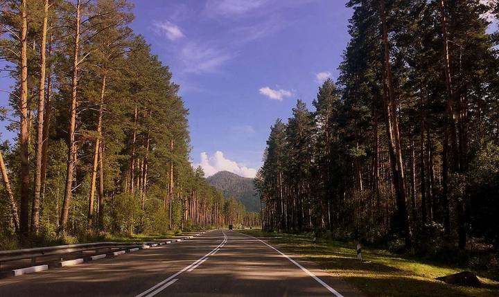 Дорога на Алтай.