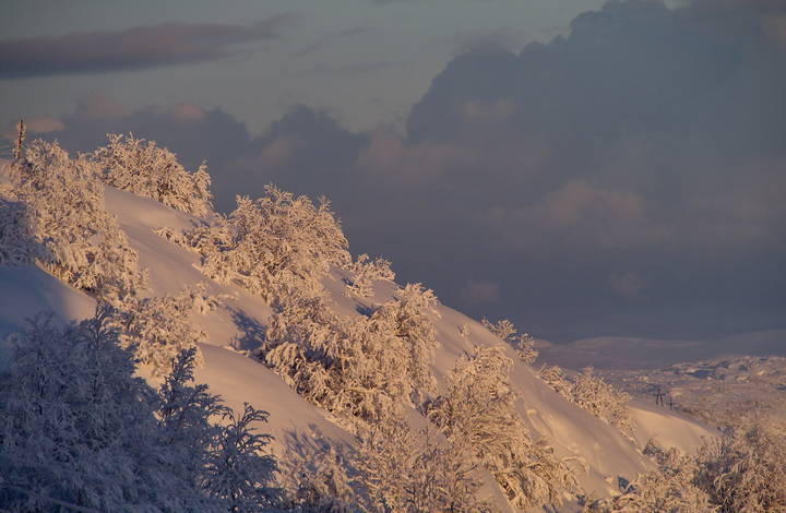 Городские зарисовки