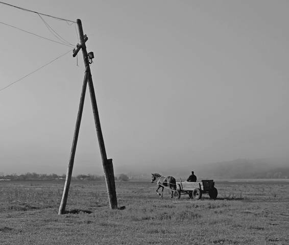 дорога домой 2