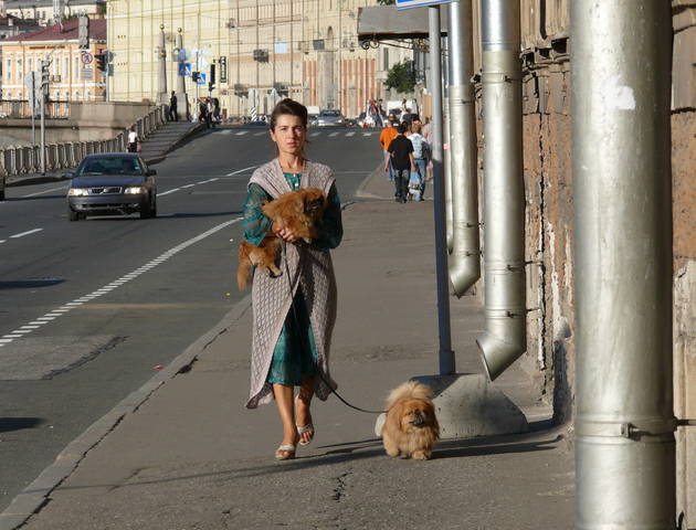 Я тебе сыграю на трубах водосточных..