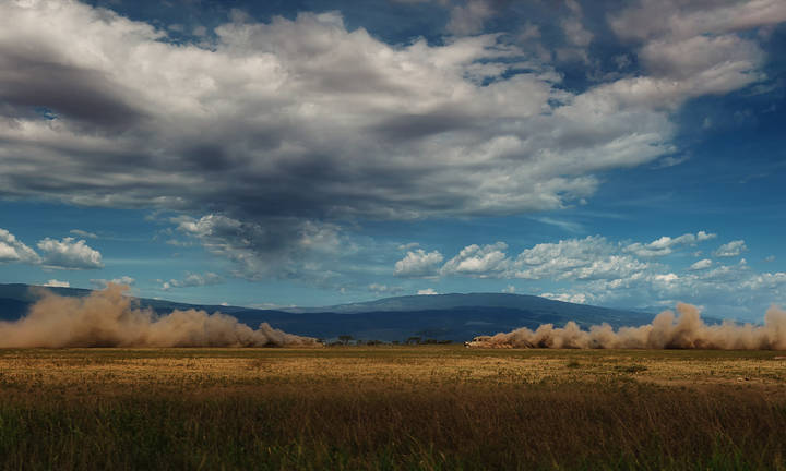 Вечер.В поисках неизведанного...саванна...Танзания!