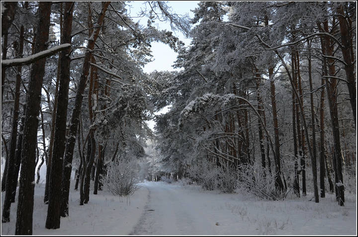 Аллея