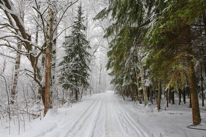  Февраль