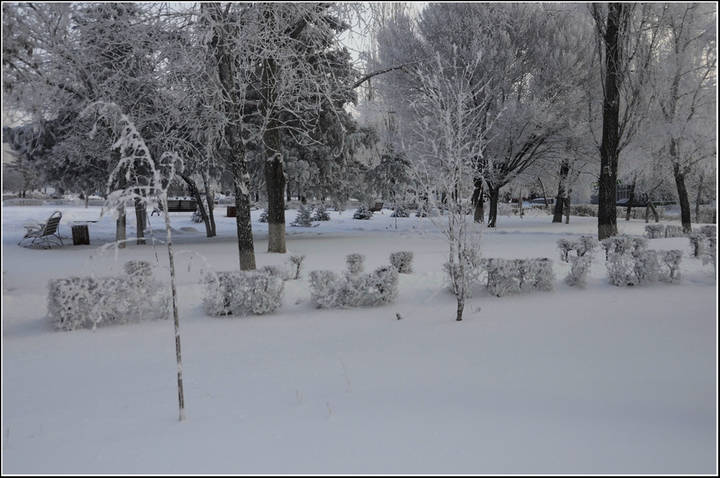 Зима в городе