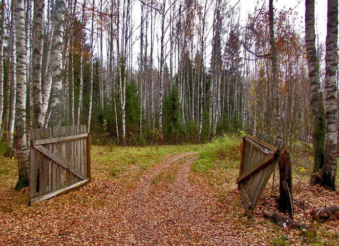 На реке Качалка