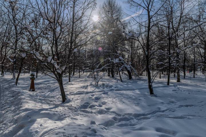 Прогулка по Воробьёвым горам