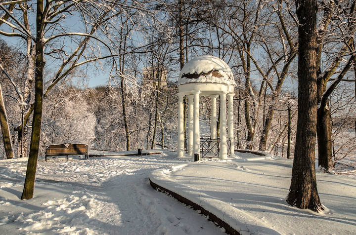В зимнем парке