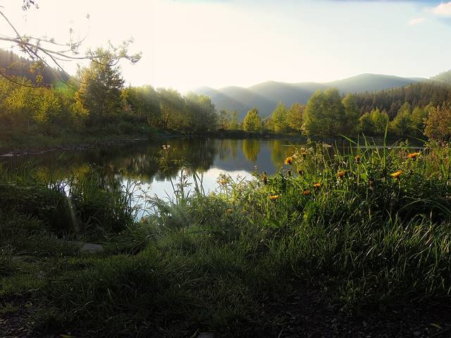 В Карпатах