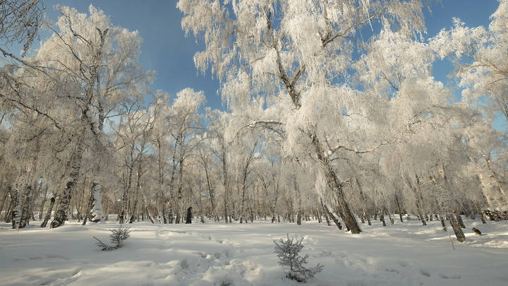 В зимнем парке.