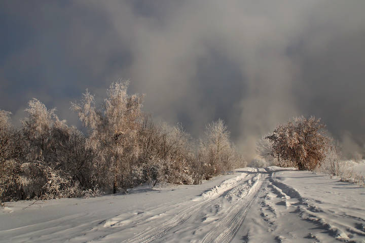 Дорога в туман