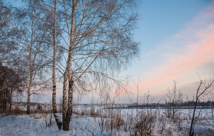 Сумерки