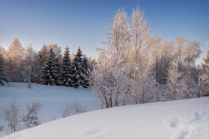 Февральские зарисовки
