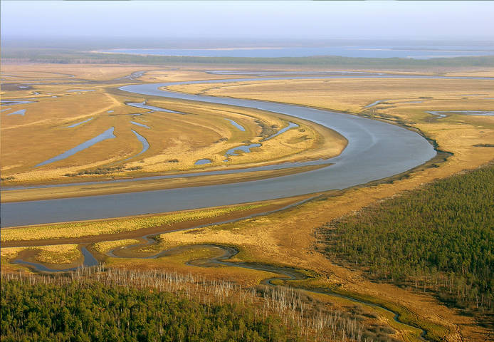 Осеннее мелководье