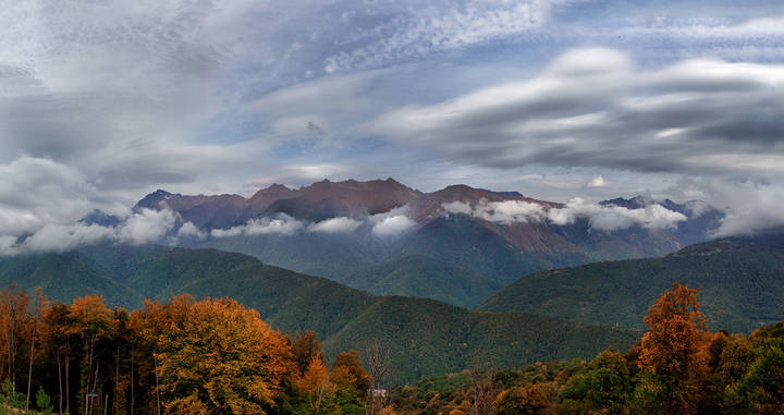 Осень...