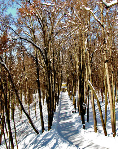 Царицынский парк - заповедник сегодня, 27.02.2018 г. при -21 градусе.
