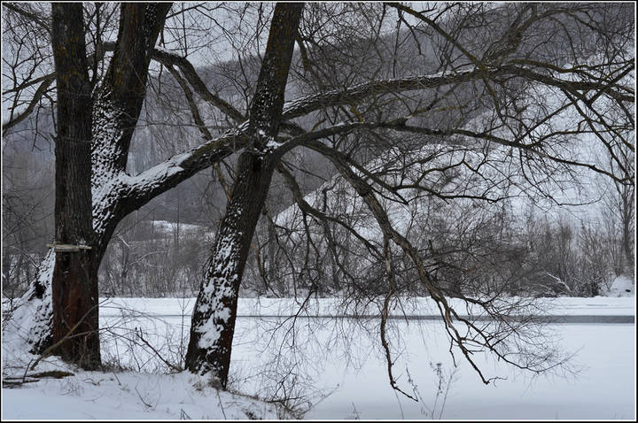 У реки