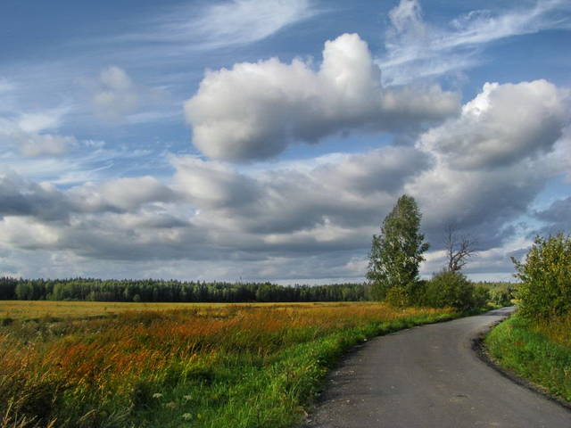 ВЕТЕР