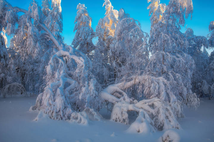 Снежные кружева