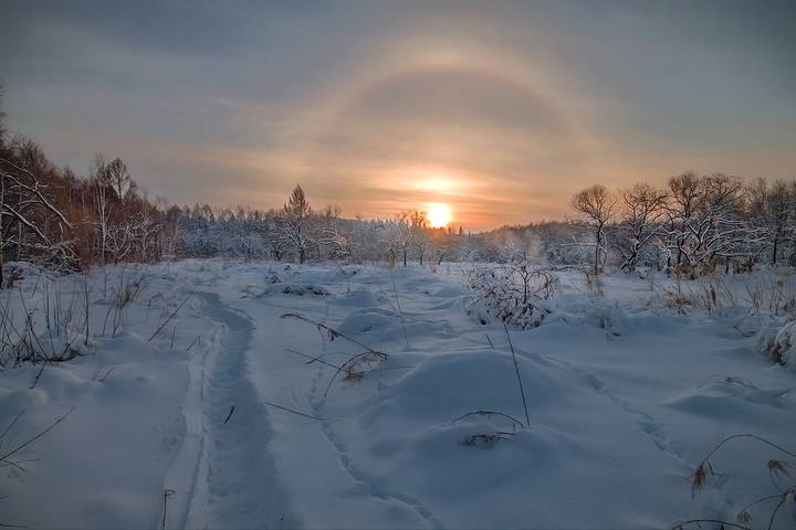 гало