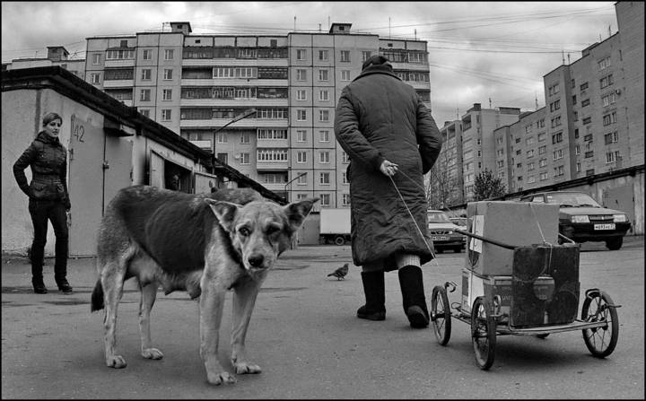  Безнадега