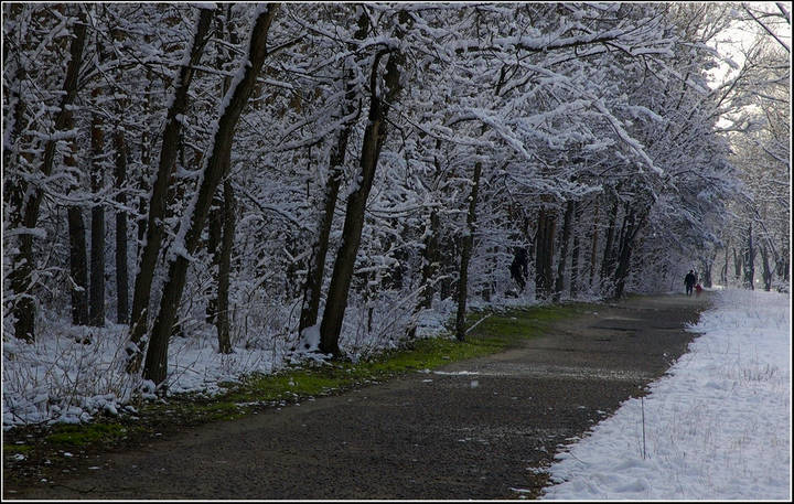Городское