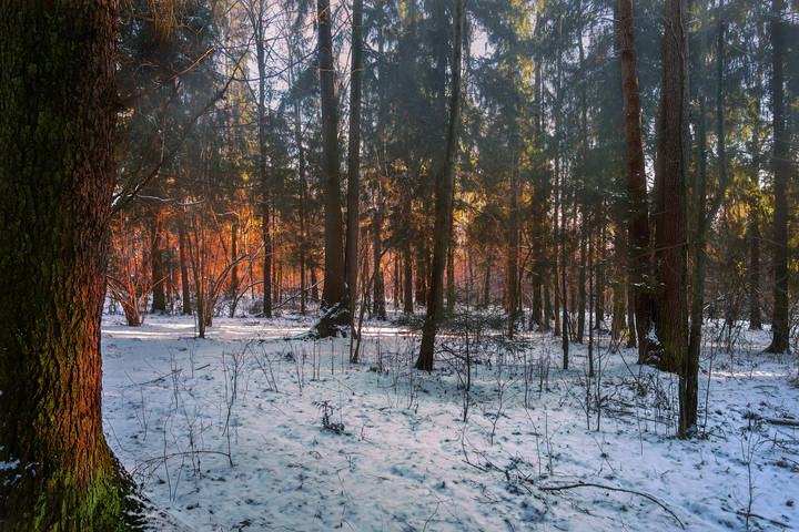 Январский  пожар.