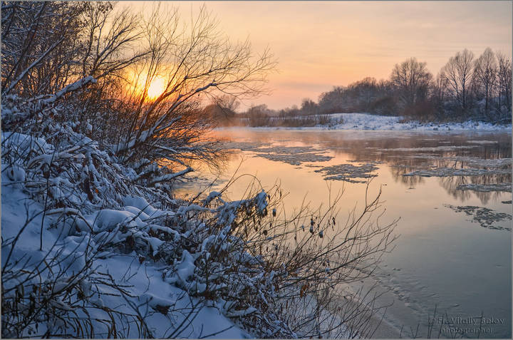 Розовые воды