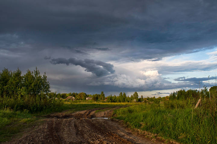 Перед дождём.