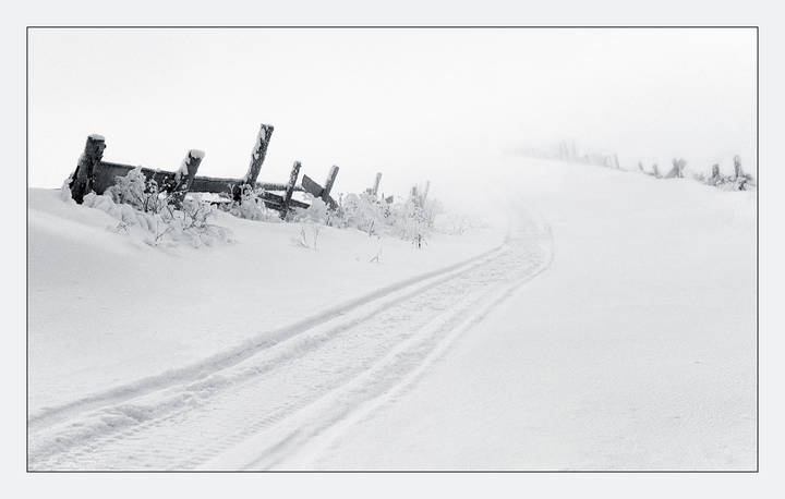 Прогулка в тумане.
