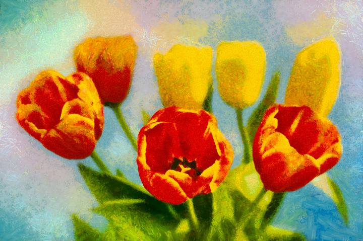 Тюльпаны...