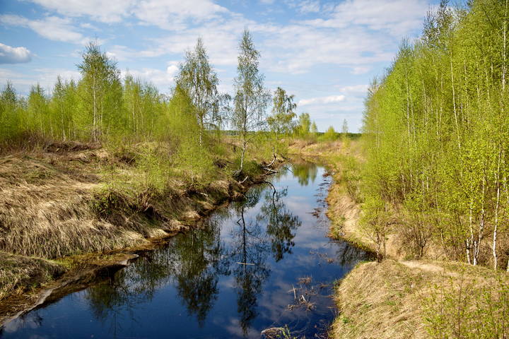 Весенние зарисовки